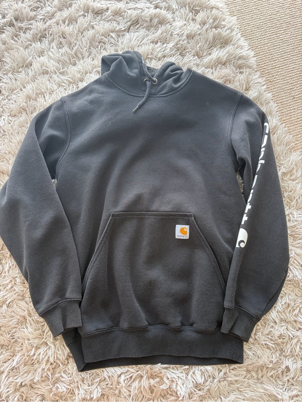 Carhartt Black Pullover Hoodie with Sleeve Script